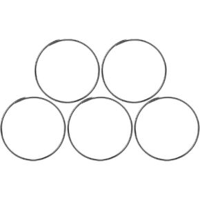 Bike Freehub Spring, 5pcs Stainless Steel Wear Resistant Freehub Spring Integral Molding Bike Pawl Spring for Fulcrum F0/F1/F3/F5/XL/KT