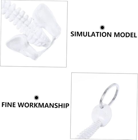 iplusmile Spine Keychain Spinal Cord Model Mini Vertebral Column Model Men Keychain Spine Model Keychain Holder Bone Rings Mens Keychains White Plastic Small Toy in Saudi Arabia
