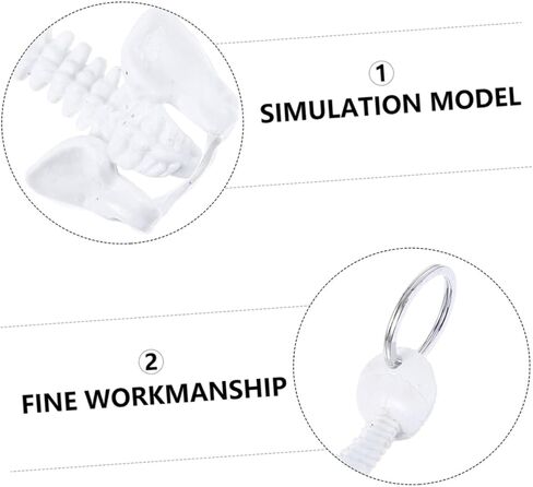 iplusmile Spine Keychain Spinal Cord Model Mini Vertebral Column Model Men Keychain Spine Model Keychain Holder Bone Rings Mens Keychains White Plastic Small Toy in Saudi Arabia