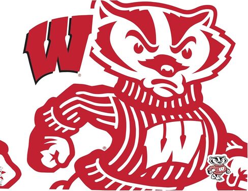 Tervis NCAA Wisconsin Badgers Tumbler With Lid, 24 oz, Clear in Saudi Arabia