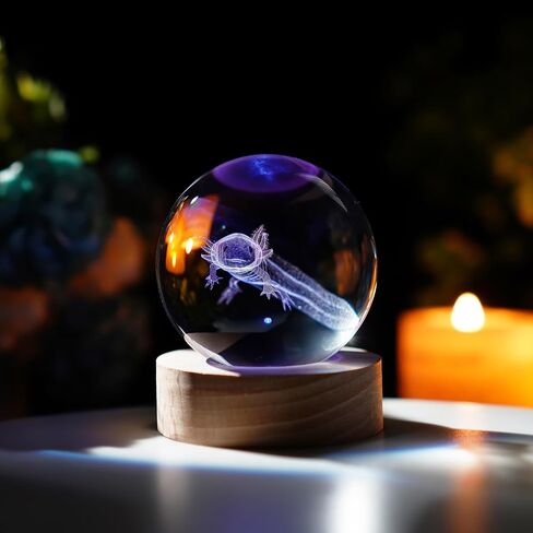 كرة كريستال Axolotl ثلاثية الأبعاد مع قاعدة إضاءة LED ملونة مقاس 2.3 بوصة كرات زجاجية مزخرفة من Axolotl وزن الورق مع حامل مصباح خشبي مجال زجاجي هدية ديكور المنزل in Kuwait