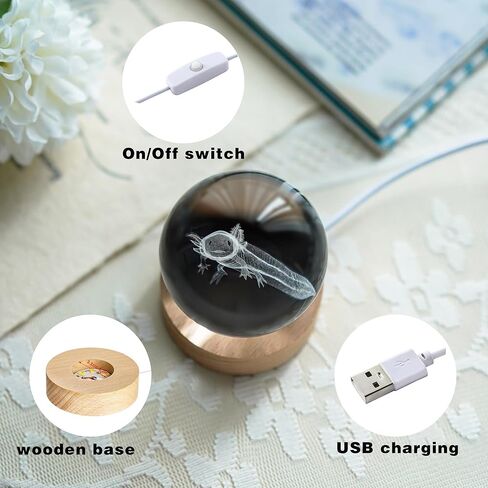 كرة كريستال Axolotl ثلاثية الأبعاد مع قاعدة إضاءة LED ملونة مقاس 2.3 بوصة كرات زجاجية مزخرفة من Axolotl وزن الورق مع حامل مصباح خشبي مجال زجاجي هدية ديكور المنزل in Kuwait