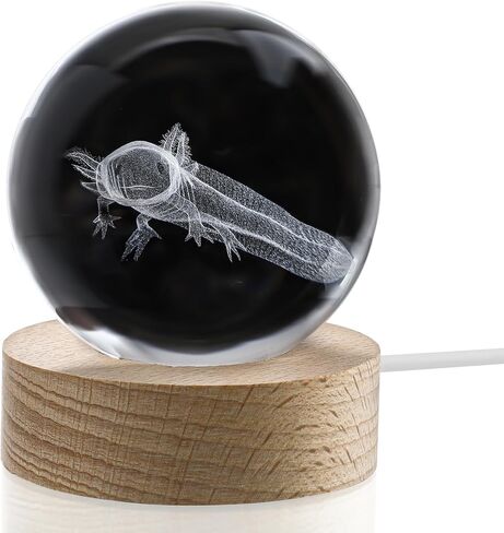 كرة كريستال Axolotl ثلاثية الأبعاد مع قاعدة إضاءة LED ملونة مقاس 2.3 بوصة كرات زجاجية مزخرفة من Axolotl وزن الورق مع حامل مصباح خشبي مجال زجاجي هدية ديكور المنزل in Kuwait