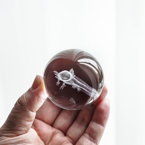 كرة كريستال Axolotl ثلاثية الأبعاد مع قاعدة إضاءة LED ملونة مقاس 2.3 بوصة كرات زجاجية مزخرفة من Axolotl وزن الورق مع حامل مصباح خشبي مجال زجاجي هدية ديكور المنزل in Kuwait