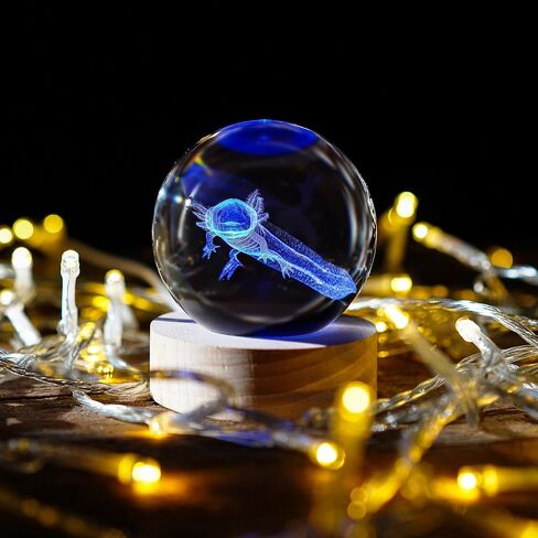 كرة كريستال Axolotl ثلاثية الأبعاد مع قاعدة إضاءة LED ملونة مقاس 2.3 بوصة كرات زجاجية مزخرفة من Axolotl وزن الورق مع حامل مصباح خشبي مجال زجاجي هدية ديكور المنزل in Kuwait