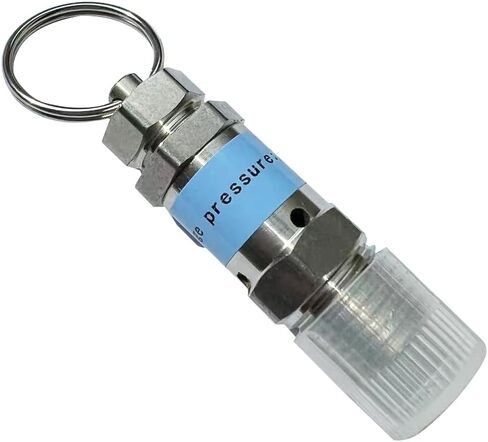 Stainless Steel 304 Safety Relief Valve, 1/4" NPT Male, 7.5 PSI Set Pressure, 1pc in Saudi Arabia
