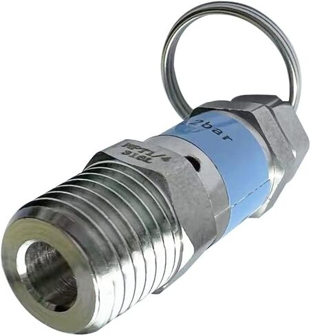 Stainless Steel 304 Safety Relief Valve, 1/4" NPT Male, 7.5 PSI Set Pressure, 1pc in Saudi Arabia