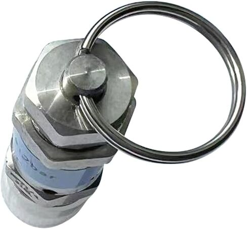 Stainless Steel 304 Safety Relief Valve, 1/4" NPT Male, 7.5 PSI Set Pressure, 1pc in Saudi Arabia