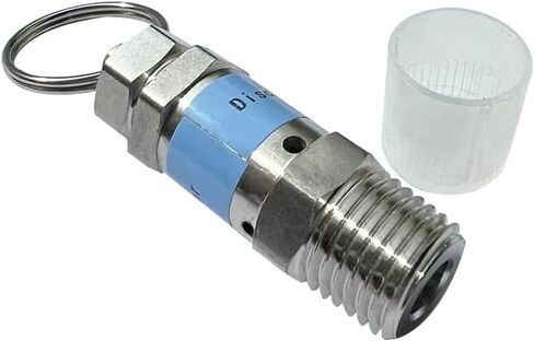 Stainless Steel 304 Safety Relief Valve, 1/4" NPT Male, 7.5 PSI Set Pressure, 1pc in Saudi Arabia