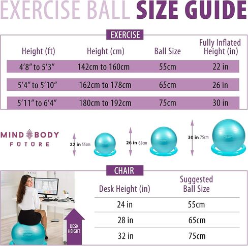 Exercise Ball 65cm - Yoga Ball for Pregnancy, Balance, Pilates or Birthing Therapy. Use at Office, Gym or Home. Anti-Burst and Anti-Slip Premium Grade in Saudi Arabia