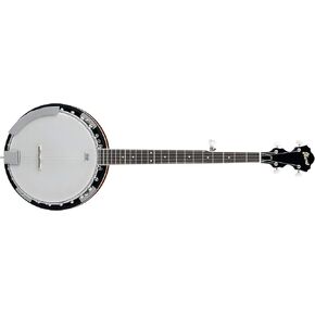 B50 5-String Banjo