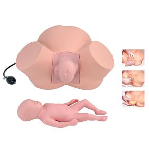 Birth Midwifery Training Simulator, PVC Childbirth Demonstration Models Obstetrics and Gynecology Delivery Maternity Manikin for Gynecology Teaching, Medical Fertility Education Study