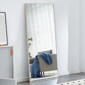 FRANSOUL 62.6"x23.3" Full Length Mirror with 3 Color Modes Lights, Full Body Vanity Mirror Hanging/Wall Floor Standing Mirror for Dressing Room Bedroom, Aluminum Alloy Frame, Pink