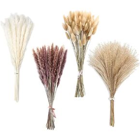 100 قطعة من ديكور عشب بامباس المجفف في الخريف، زهور بوهو لحفلات الزفاف في الخريف الدافئ، ديكور طاولة المنزل، حفلة مزرعة ريفية تحتوي على ذيول أرنب زهور مجففة، باقة عشب القصب in Kuwait