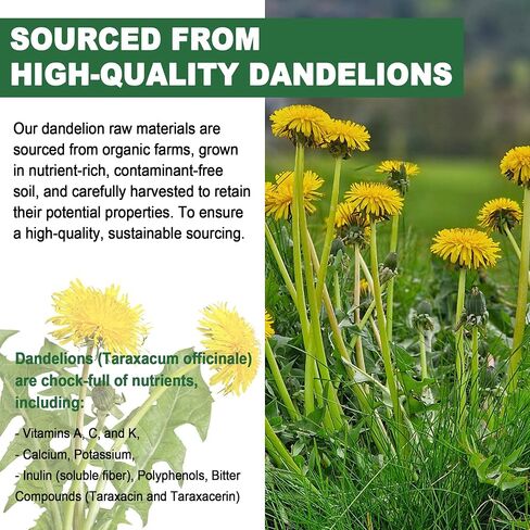 Sugar-Free Dandelion Root Gummies - 6902 MG/Serving Organic Dandelion Blend - w/Milk Thistle, Artichoke, Turmeric Extract, Supplement for Dandelion Capsules & Dandelion Tincture Alternative, 2-Pack in Saudi Arabia