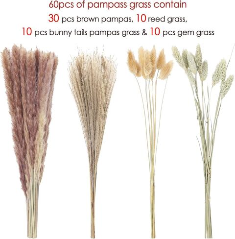 60 قطعة من عشب بامباس المجفف، 17 بوصة طبيعية مجففة بعناية منتقاة بعناية من عشب بامباس الرقيق، باقة عشب القصب، زهور مجففة بذيل أرنب، عشب جوهرة لحفلات الزفاف بوهو زهور ديكور طاولة المنزل in Kuwait