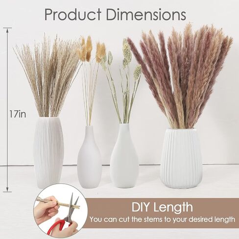 60 قطعة من عشب بامباس المجفف، 17 بوصة طبيعية مجففة بعناية منتقاة بعناية من عشب بامباس الرقيق، باقة عشب القصب، زهور مجففة بذيل أرنب، عشب جوهرة لحفلات الزفاف بوهو زهور ديكور طاولة المنزل in Kuwait