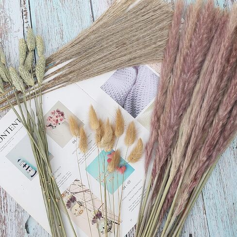 60 قطعة من عشب بامباس المجفف، 17 بوصة طبيعية مجففة بعناية منتقاة بعناية من عشب بامباس الرقيق، باقة عشب القصب، زهور مجففة بذيل أرنب، عشب جوهرة لحفلات الزفاف بوهو زهور ديكور طاولة المنزل in Kuwait