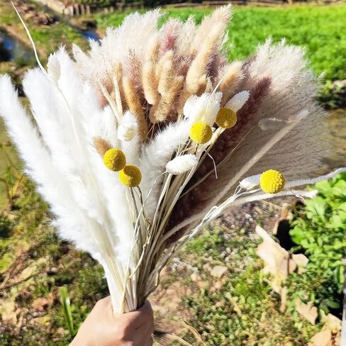 125 قطعة من ديكور عشب بامباس المجفف، ديكور منزلي لحفلات الزفاف، تنسيقات زهور مجففة، عشب بامباس أبيض وطبيعي، قصب، ذيل أرنب، كرات بيلي، جوهرة، فلورا يونيكورن in Saudi Arabia