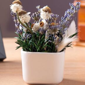 Dried Flower in Vase Various Dried Flower with Stems Gifts for Women Desk Plant with Vase Indoor Centerpiece Office Coffee Table Decortions(Fern)