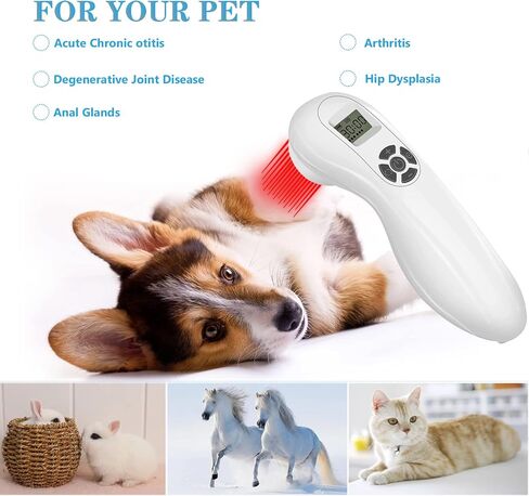 Powerful Cold Red Light Device for Joint and Muscles, Infrared Light Machine Multi-Speed Regulation with Pulse Function(808nm&650nm) in Saudi Arabia
