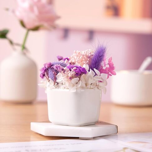 زهرة مجففة في مزهرية زهور مجففة متنوعة مع سيقان هدايا لنباتات المكتب للنساء مع مزهرية لتزيين طاولة القهوة المركزية للمكتب (السرخس) in Kuwait