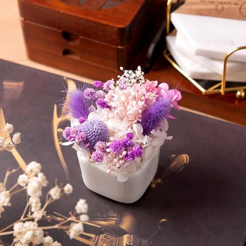 زهرة مجففة في مزهرية زهور مجففة متنوعة مع سيقان هدايا لنباتات المكتب للنساء مع مزهرية لتزيين طاولة القهوة المركزية للمكتب (السرخس) in Kuwait