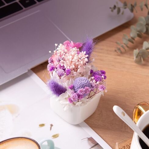 زهرة مجففة في مزهرية زهور مجففة متنوعة مع سيقان هدايا لنباتات المكتب للنساء مع مزهرية لتزيين طاولة القهوة المركزية للمكتب (السرخس) in Kuwait