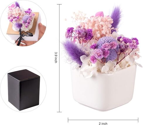 زهرة مجففة في مزهرية زهور مجففة متنوعة مع سيقان هدايا لنباتات المكتب للنساء مع مزهرية لتزيين طاولة القهوة المركزية للمكتب (السرخس) in Kuwait