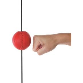 Winning Punching Ball SB-9000