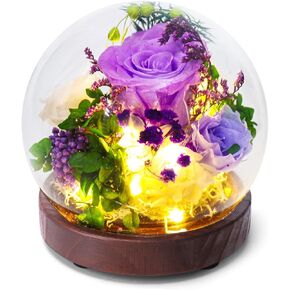 Long lasting real flowers, birthday present for women，Preserved Rose Flowers with LED light strip,Unique Floral present for various festivals, various occasions, home decoration（Purple Rose）