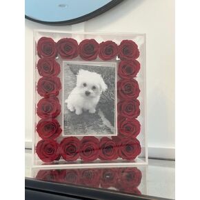 BRODYS Acrylic Picture Frame with 18 Real Preserved Roses, Can Hang on The Wall, Great Anniversary or Birthday Gift for Her, Girlfriend or Wife, CHOOSE YOUR COLOR, Red, Pink, WHITE (Pink)