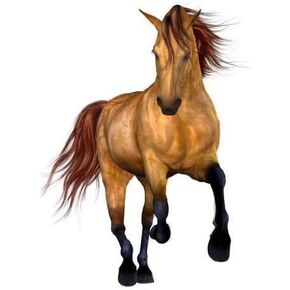 ملصق حائط جميل قابل للتقشير واللصق على شكل حصان، ارتفاع 91.44 سم وعرض 63.5 سم in Kuwait