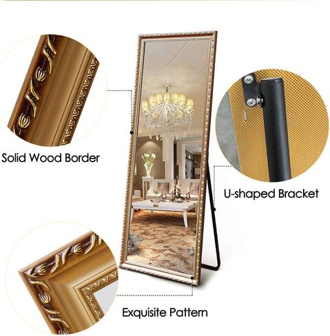NeuType 65"x22" Full Length Mirror Floor Mirror Wall-Mounted Mirror Bedroom/Locker Room Standing/Hanging Mirror Dressing Mirror (Gold, European Style) in Saudi Arabia