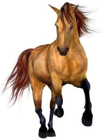 ملصق حائط جميل قابل للتقشير واللصق على شكل حصان، ارتفاع 91.44 سم وعرض 63.5 سم in Kuwait