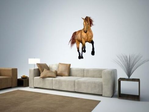 ملصق حائط جميل قابل للتقشير واللصق على شكل حصان، ارتفاع 91.44 سم وعرض 63.5 سم in Kuwait