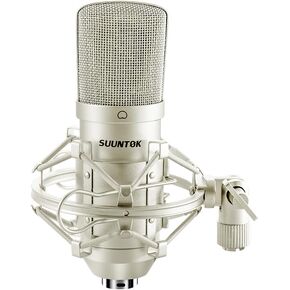 ميكروفون XLR TM020، طقم ميكروفون قلبي كبير مطلي بالذهب مقاس 34 ملم للتسجيل الاحترافي، للاستوديو والبث المباشر والبودكاست والألعاب (شامبانيا) in Kuwait