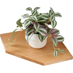 Oak Corner Shelves, Floating Corner Shelves Wall Shelf with Wire Hole for Cable, Display Corner Shelf Wall Mount for Bedroom Living Room Kitchen (7 Inch)