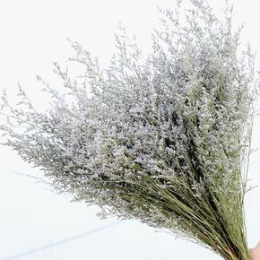 19-23inch Preserved Natural Limonium Bouquet, 28+ Stems Real Fresh Caspia Bellidifolium, Sea Lavender, Baby Breath Flowers, for Wedding Birthday,Home Décor(Natural Colour)