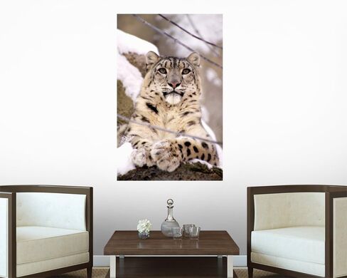 FOT-2687526-30 WM215824 ملصقات جدارية قابلة للتقشير واللصق على شكل نمر الثلج (30 بوصة ارتفاع × 19 بوصة عرض)، متوسط-كبير in Kuwait