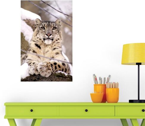 FOT-2687526-30 WM215824 ملصقات جدارية قابلة للتقشير واللصق على شكل نمر الثلج (30 بوصة ارتفاع × 19 بوصة عرض)، متوسط-كبير in Kuwait