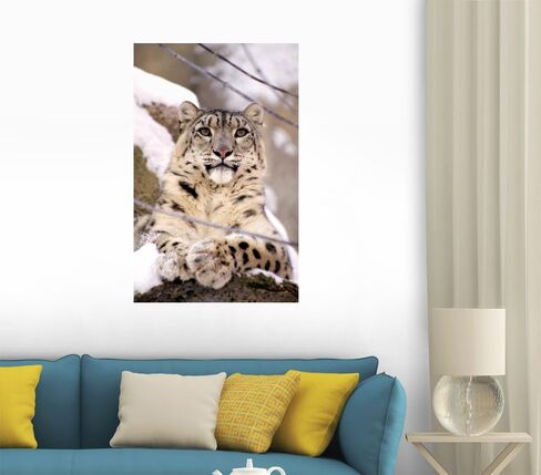 FOT-2687526-30 WM215824 ملصقات جدارية قابلة للتقشير واللصق على شكل نمر الثلج (30 بوصة ارتفاع × 19 بوصة عرض)، متوسط-كبير in Kuwait