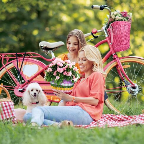 سلة دراجة شاين مي للأطفال، قطعتان من سلة دراجات الفتيات الصغيرة مع ملحقات الدراجة، سلة دراجة أمامية منسوجة يدويًا مع جرس دراجة وشرابات ملونة تنطبق على دراجة ثلاثية العجلات، سكوتر in Kuwait