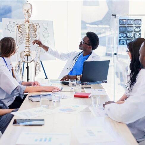 70.8 Inches Human Skeleton Model for Anatomy - Life Size Medical Human Skeleton Model with Ligament，with Nervous System 70.8 in with Rolling Stand for Medical Study and Display in Saudi Arabia