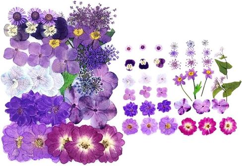 1 Pack Real Dried Pressed Flowers Leaves Beautiful Dried Flowers DIY Art Floral Used for Art Craft Silicone Coaster Resin Molds Perfect for Phone Shell, Handmade Bookmarks, Scrapbooking in Saudi Arabia