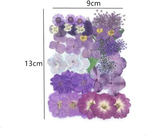1 Pack Real Dried Pressed Flowers Leaves Beautiful Dried Flowers DIY Art Floral Used for Art Craft Silicone Coaster Resin Molds Perfect for Phone Shell, Handmade Bookmarks, Scrapbooking in Saudi Arabia