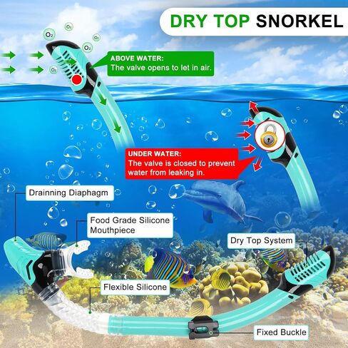 Adult Snorkeling Set, Gimilife 4 in 1 Diving Mask and Dry Top Snorkeling Gear for Audults Snorkeling Scuba Diving Swimming Travel in Saudi Arabia