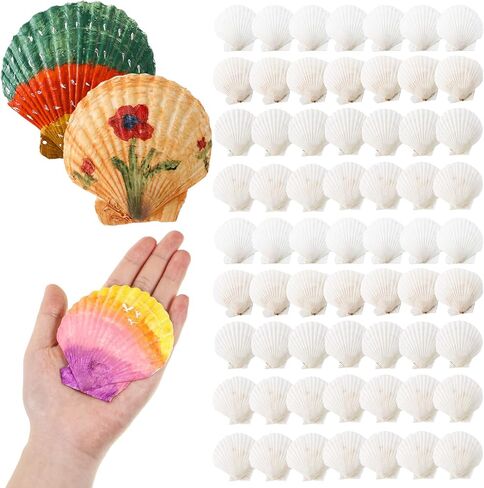 100 Pcs Sea Shell for Crafting Natural Large Scallop Shells White Oyster Shells Bulk for Decorating DIY Home Beach Wedding Ocean Themed Party Baking Shells for Serving Food (1.97''-2.76'') in Saudi Arabia