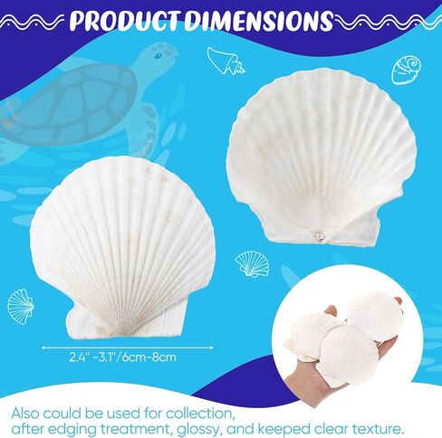 100 Pcs Sea Shell for Crafting Natural Large Scallop Shells White Oyster Shells Bulk for Decorating DIY Home Beach Wedding Ocean Themed Party Baking Shells for Serving Food (1.97''-2.76'') in Saudi Arabia