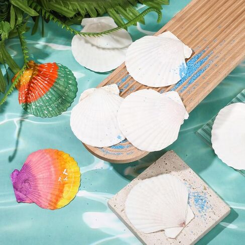 100 Pcs Sea Shell for Crafting Natural Large Scallop Shells White Oyster Shells Bulk for Decorating DIY Home Beach Wedding Ocean Themed Party Baking Shells for Serving Food (1.97''-2.76'') in Saudi Arabia